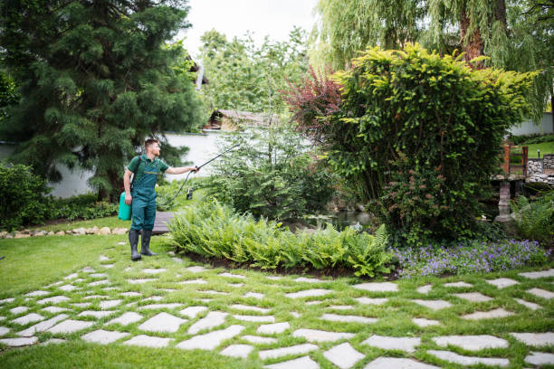 Best Ant Control Services  in Clive, IA