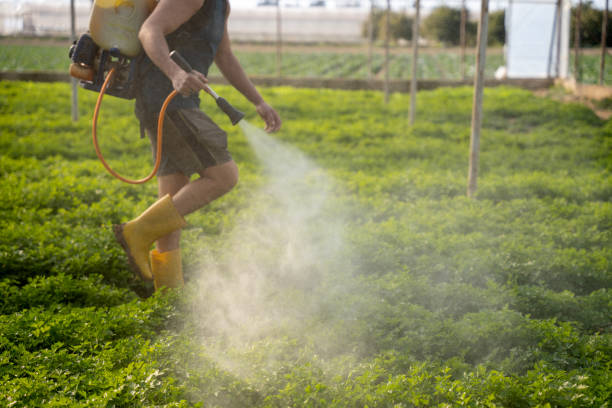 Best Wasp Removal Services  in Clive, IA