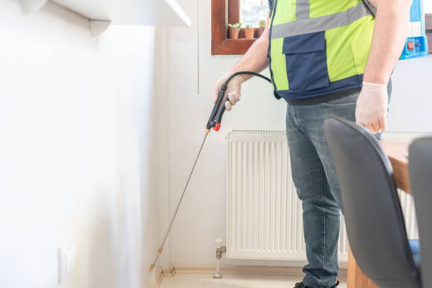 Professional Pest Control in Clive, IA