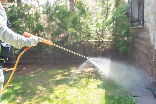 Best Exterminator Services  in Clive, IA