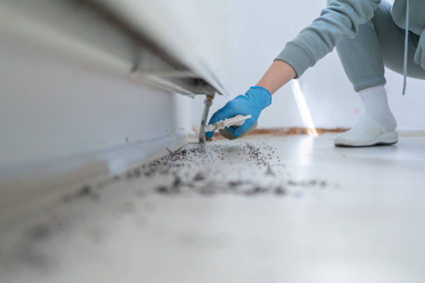 Best Wildlife Control Services  in Clive, IA