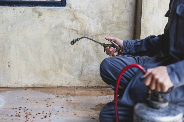 Best Best Pest Control Companies  in Clive, IA