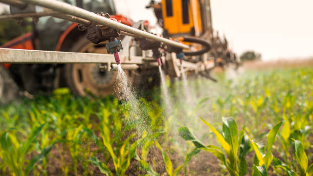 Best Mosquito Control Services  in Clive, IA